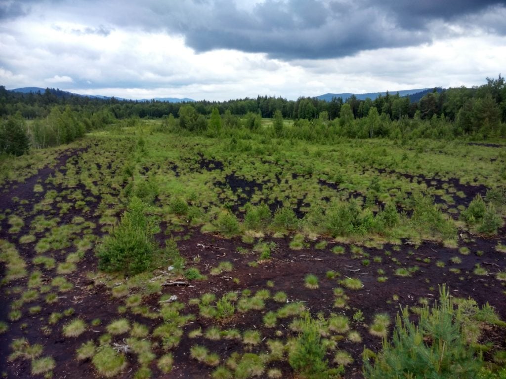 Soumarské rašeliniště