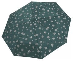Derby Mini Edelweiss