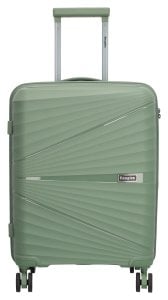 Beagles Travel 25138 S Natural green