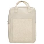 Zebra Trends Ingrid 22494 Cream