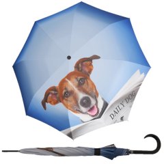 Doppler Modern Art Daily Dog