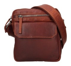 Lagen Merlin Brown