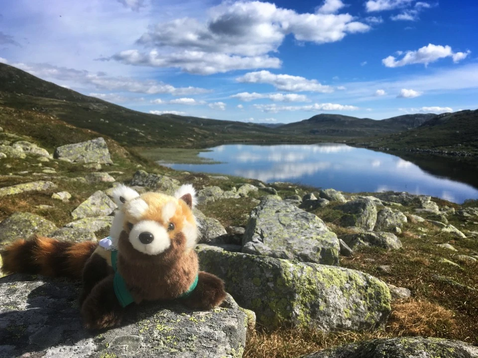Expedícia Norway - krajina