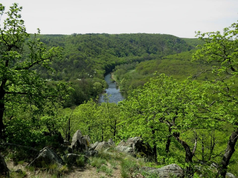 Podyjí
